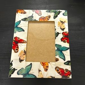 Colorful Butterfly Frame